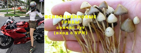 ECSTASY Алексин