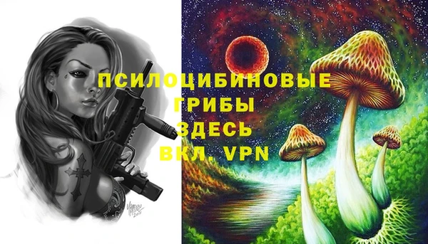 ECSTASY Алексин