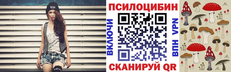 закладка  Арсеньев  Галлюциногенные грибы прущие грибы 